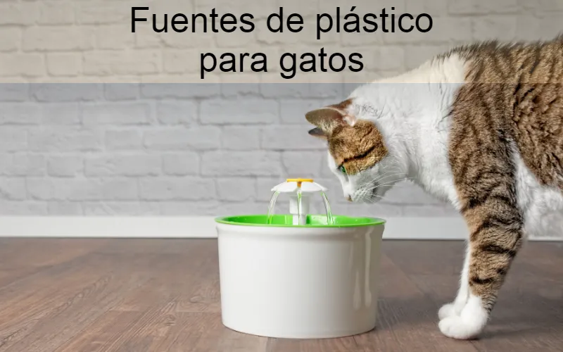 Fuentes de plástico para gatos